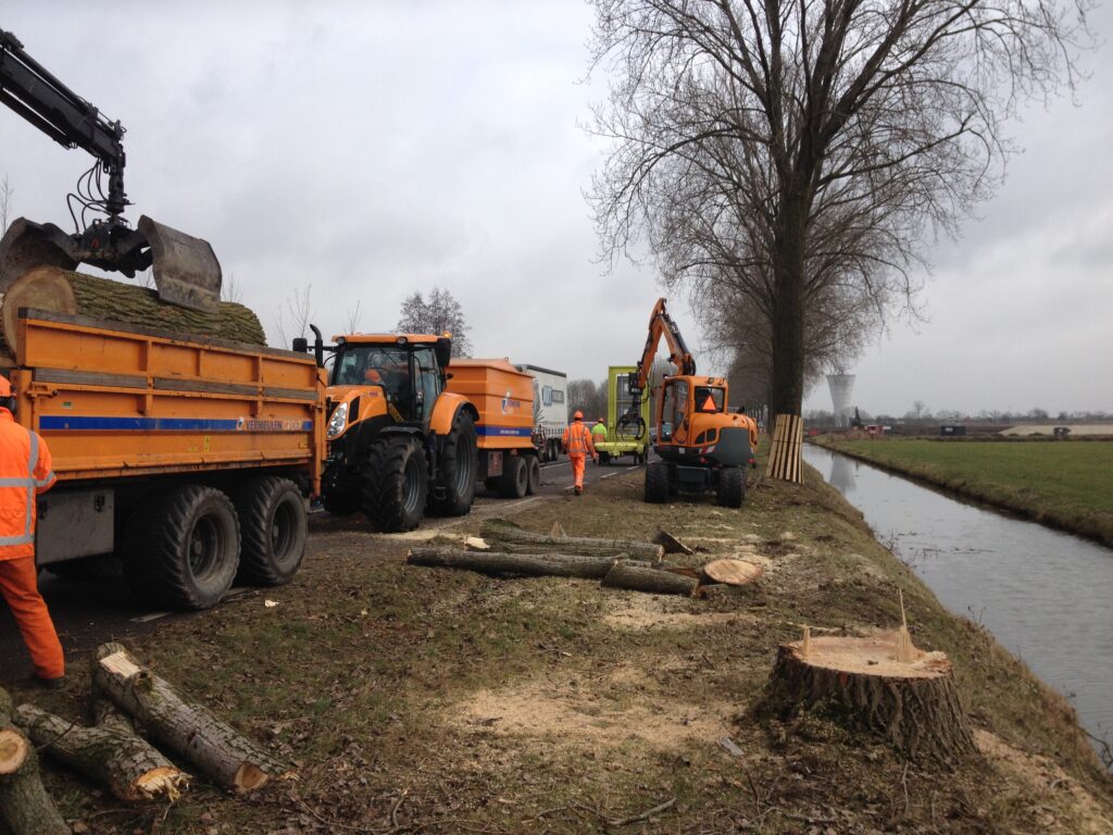 01Groen